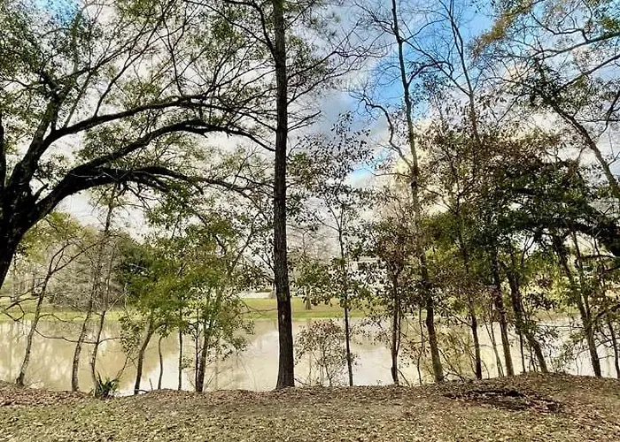Renovated Waterfront Ideal For Families Or Groups In Louisiana Holiday home *